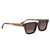 Legacy - Classic Tortoise/Brown Gradient